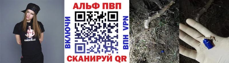 А ПВП СК Кирово-Чепецк