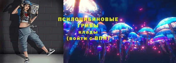 a pvp Каменка