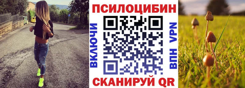 Галлюциногенные грибы MAGIC MUSHROOMS  Купить закладки  Кирово-Чепецк 